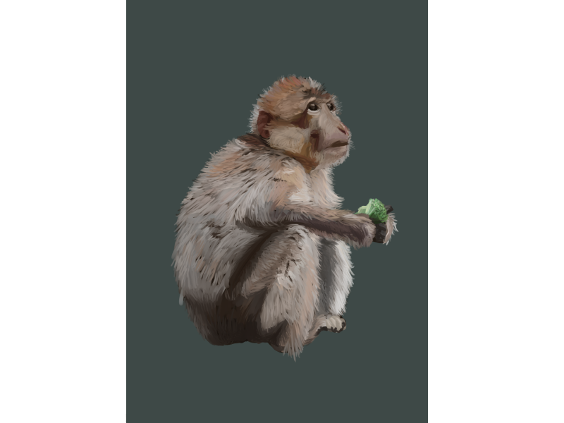 singe